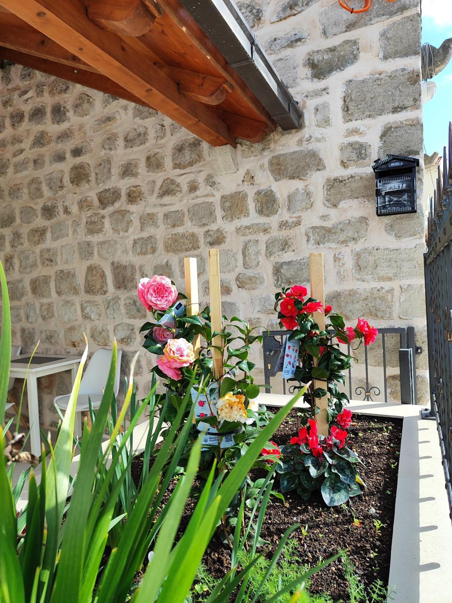 Harriete Apartman